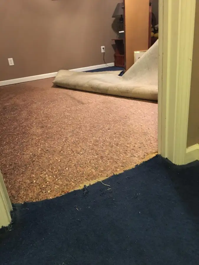 Carpet pad removal revealing water damage during Drying & Dehumidification in Deale