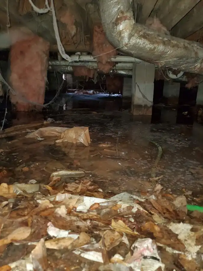 Crawl space flood assessment for Commercial Water Damage Restoration in Deale